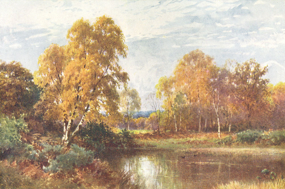 SURREY. Waning Year 1912 old antique vintage print picture